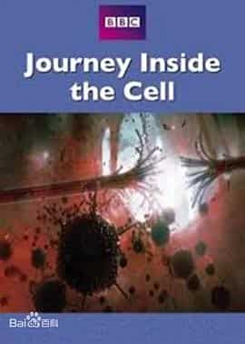 神秘旅行：细胞内部之旅 Secret Universe: Journey Inside the Cell