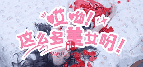 【PC游戏】哎呦 怎么这么多美女呀 免安装中文版