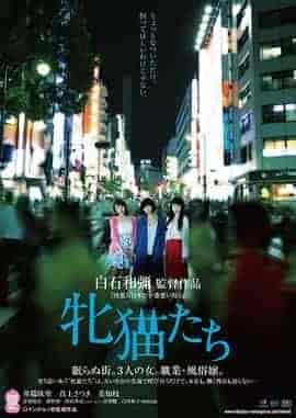 雌猫们 牝猫たち