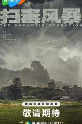 扫毒风暴