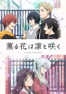 薰香花朵凛然绽放 薫る花は凛と咲く