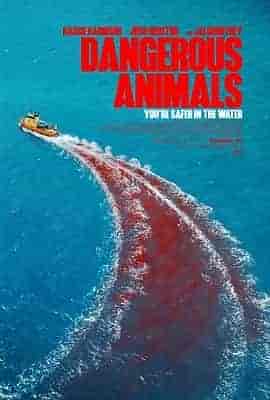 危险动物 Dangerous Animals