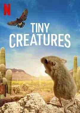 微观世界 Tiny Creatures