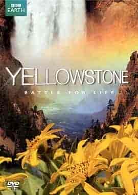 黄石公园 Yellowstone