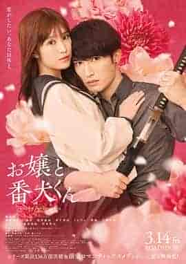 大小姐和看门犬 お嬢と番犬くん