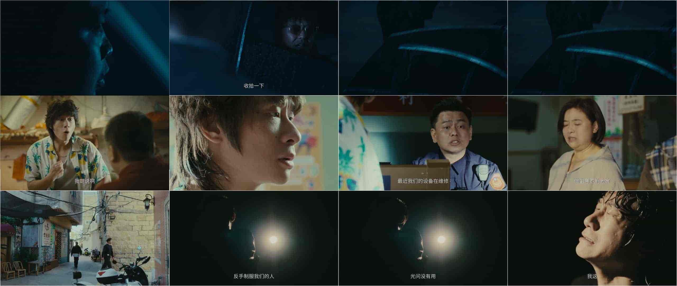 鹦鹉(2025)【首更11集】【4K / HDR Vivid / 60FPS / 高码率】【2G/集】【叶浏/吴建豪/徐冬冬】