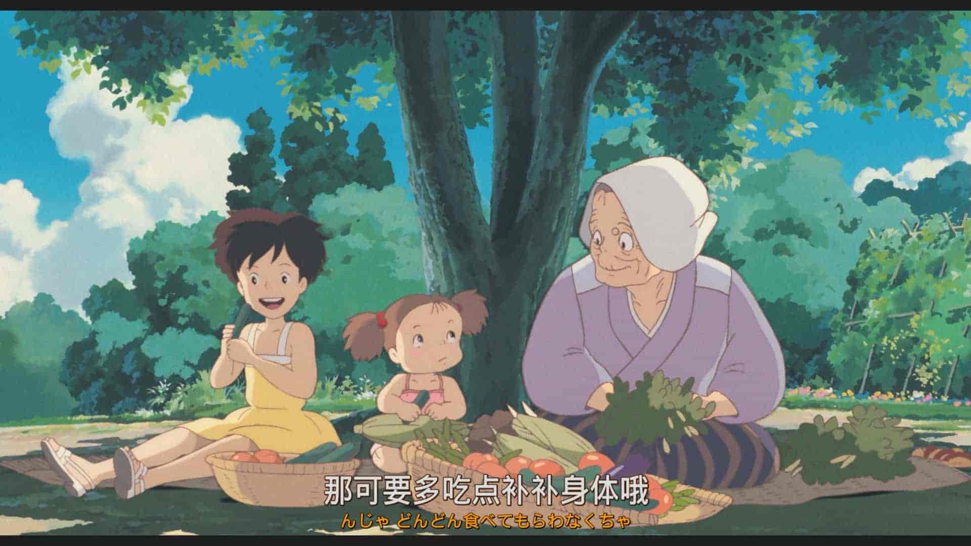 龙猫(1988)【蓝光原盘REMUX】 日英国粤音轨 【内封港/台繁体/简中日特效字幕】24.74G