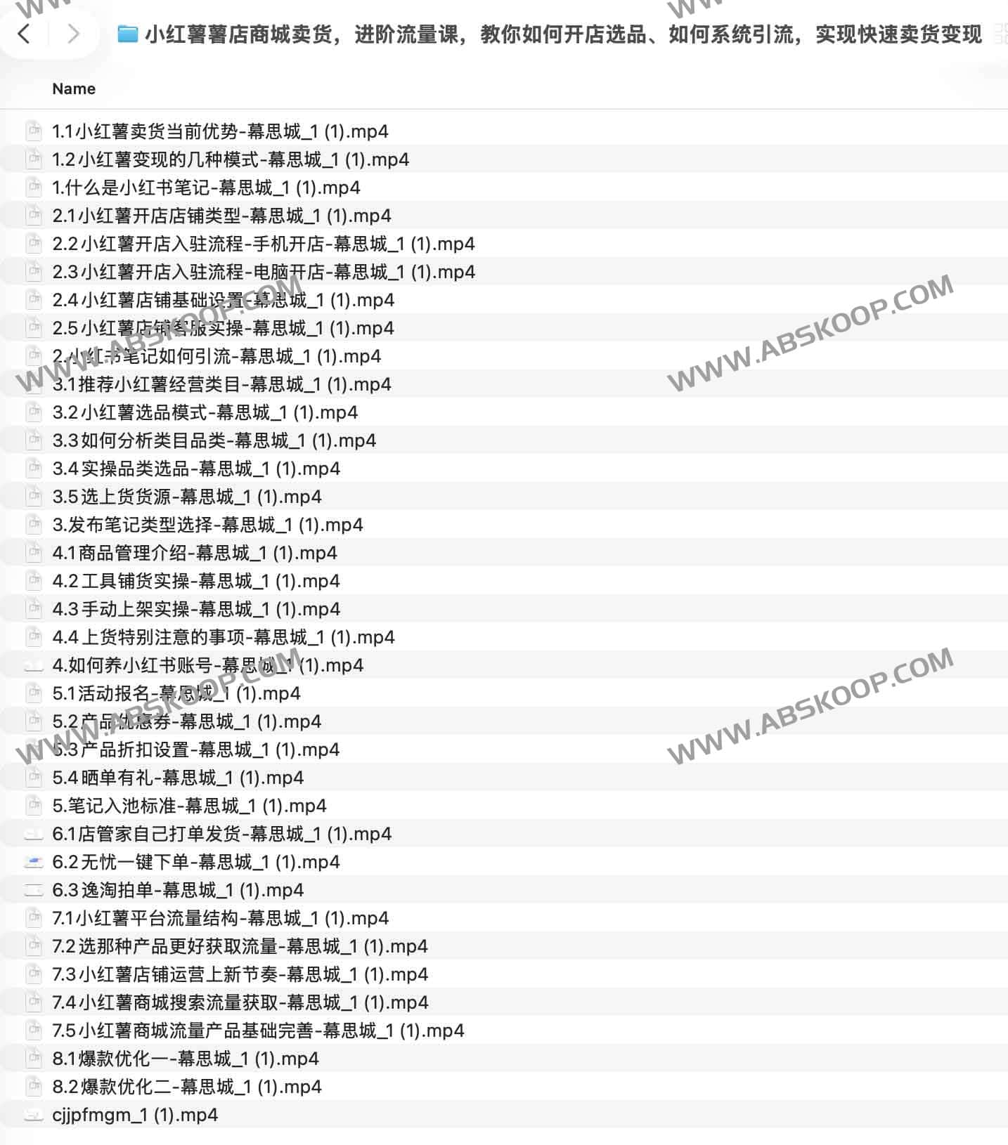小红薯薯店商城卖货,进阶流量课,教你如何开店选品、如何系统引流,实现快速卖货变现 1 小红薯薯店商城卖货,进阶流量课,教你如何开店选品、如何系统引流,实现快速卖货变现